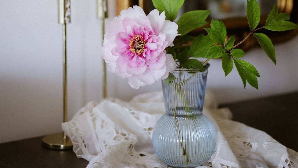 Rosa pion i en räfflad glasvas på en vit spetsduk, med ljusstakar i mässing och en guldinramad spegel i bakgrunden